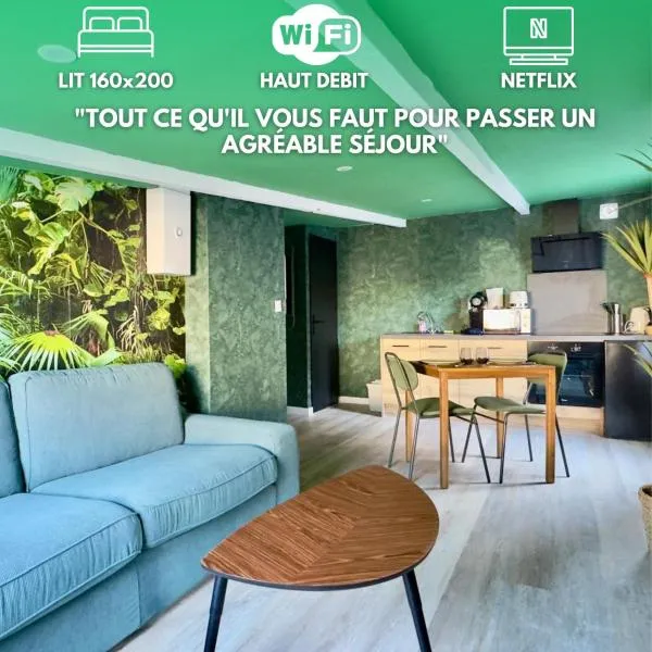 Suite Tropical-Netflix-Parking, hotel v destinácii Douai