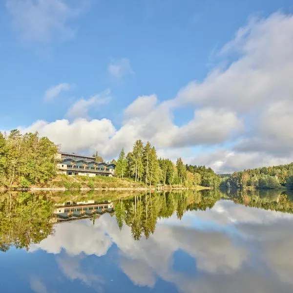 Das Dreiburgensee Naturhotel & Spa im Bayrischen Wald, hotel di Thurmansbang