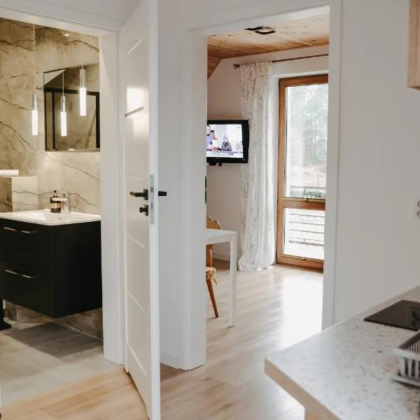 Apartamenty Wieżyca 17, hotel in Wieżyca