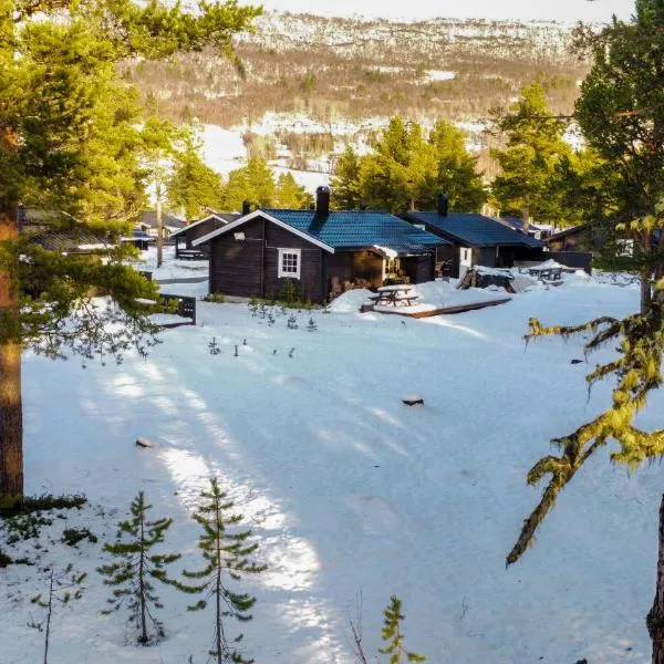 MIDGARD LODGE - Pre-Heated with Ready Beds at Bjorli, hotel in Bjorli