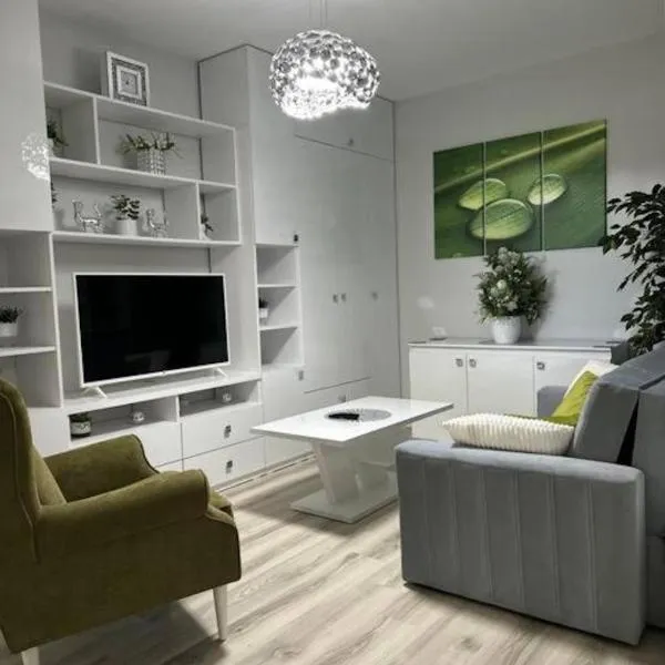 Verdana apartament、ティミショアラのホテル