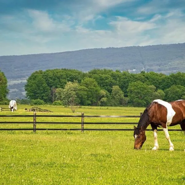 Letchworth Farm Guesthouses, hotel v destinaci Nunda