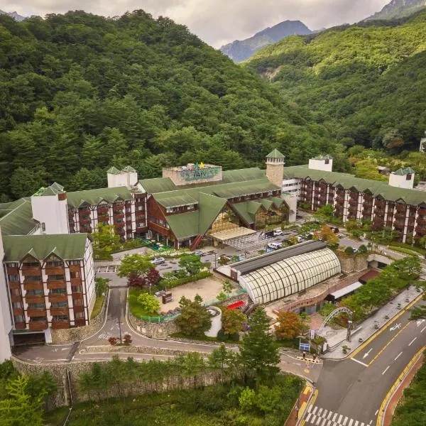 Osaek Greenyard Hotel, hotel v destinaci Jangjang
