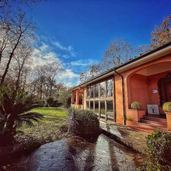 Guest House La Selvotta, hotel v destinaci Formello