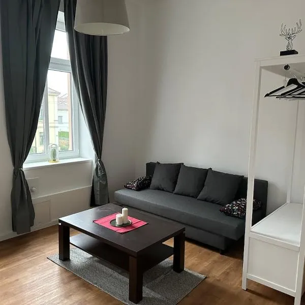 Gemütliche Wohnung mit Hochbett, Hotel in Dresden