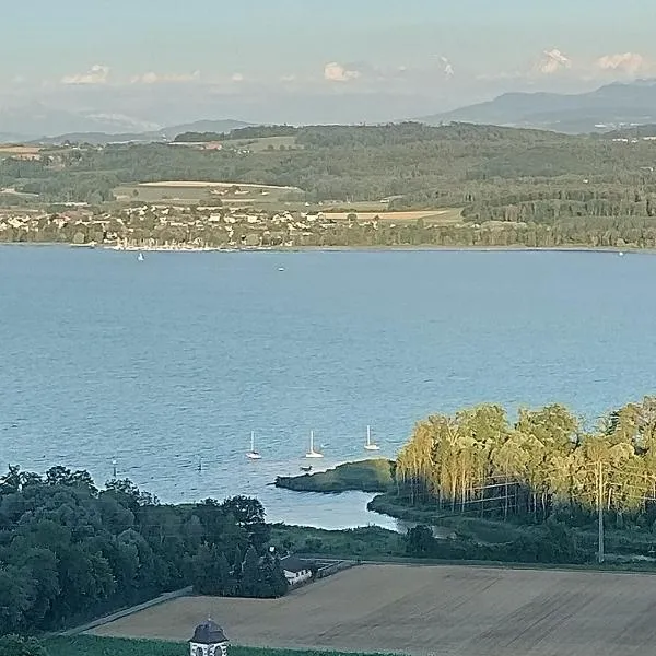 Swiss Borzoi House, hotel v destinaci Bellerive