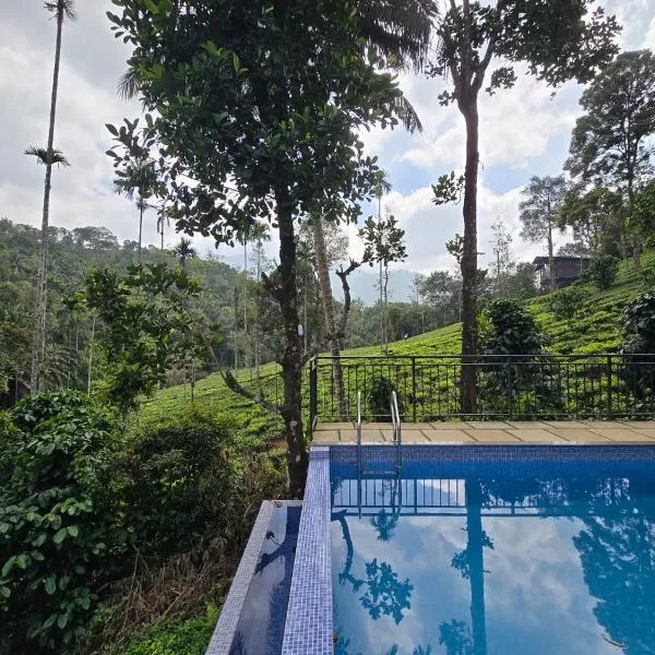 Vythiri Hill Palace, hotel v destinaci Vythiri