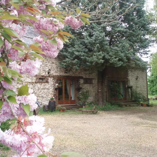 Rose, хотел в Chigné