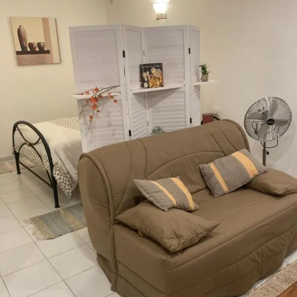 Appartement à deux pas du centre ville – hotel w mieście Limoux