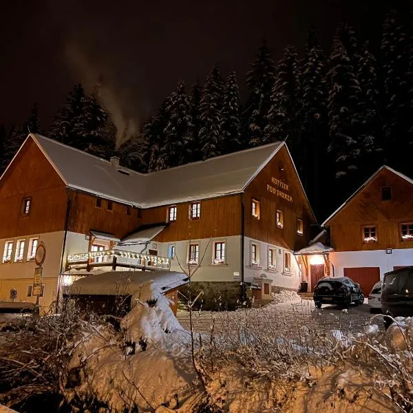 Hotýlek pod smrkem, hotel v destinaci Harrachov