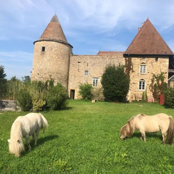 Appartement Château de Corcelle, hotel in Bourgvilain