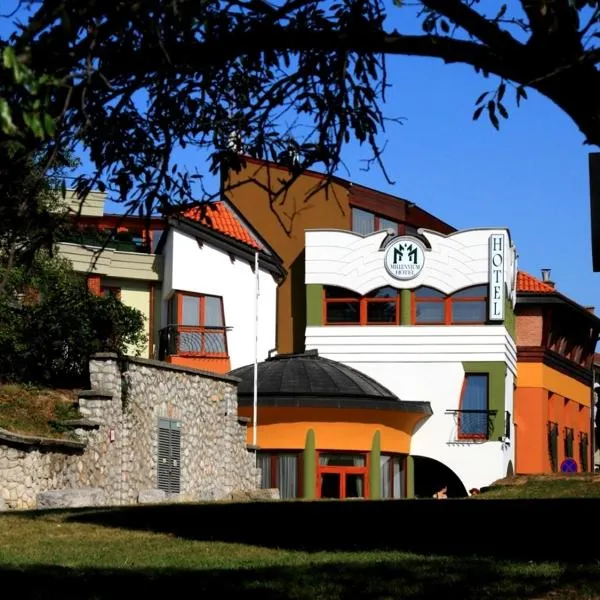 Sándor Hotel, hotel v destinácii Pécs