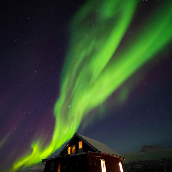 3ART Retreat - For Nature & Art Lovers