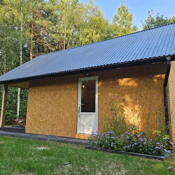Domek wypoczynkowy, hotell sihtkohas Kamionka