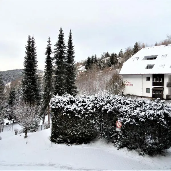 Ferienwohnung Bergblick, hotel di Triberg