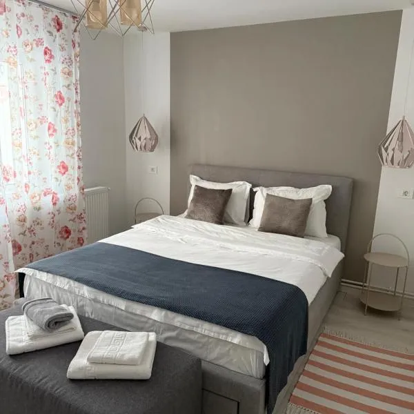 Apartament Sofi, hotel in Petroşani