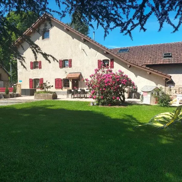 Gîte Belle Fleur 6 personnes- Vosges, hotel in Saint-Nabord