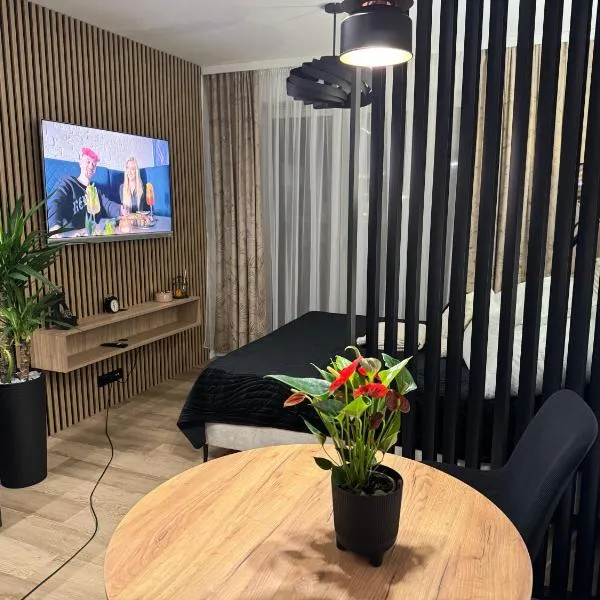 Apartament Zamojskie Echo, ξενοδοχείο σε Ζάμοστς