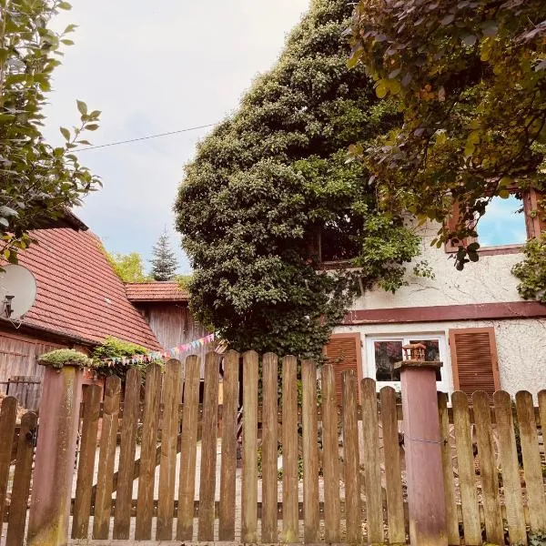 Ferienwohnungen auf einem ehemaligen Bauernhof, hotel in Neuhausen