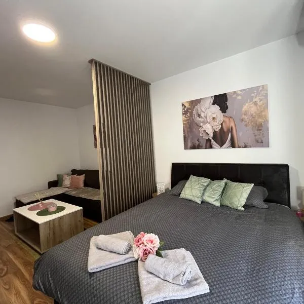 Vlasic Apartmani HANA, hotell i Vršac