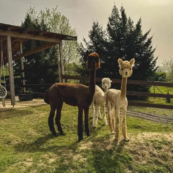 Agroturystyka Alpakolandia Góra Szybowcowa, hotel in Jeżów Sudecki