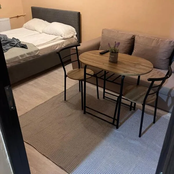 Robert room 18, hotel en Arad