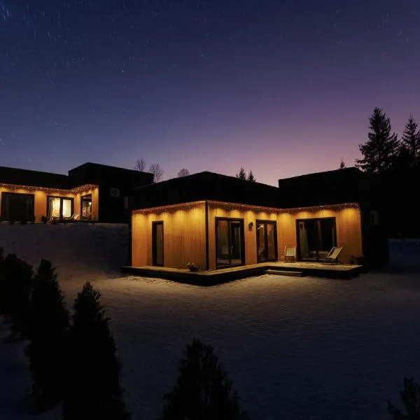 Carpathians View, hotel in Krivopolʼye
