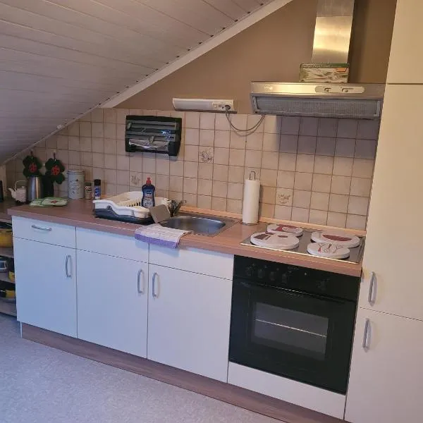 Alexas Ferienwohnung, Hotel in Windischeschenbach