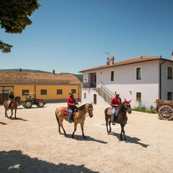 Fattoria Didattica La Collina Incantata, hotel in Vasciano