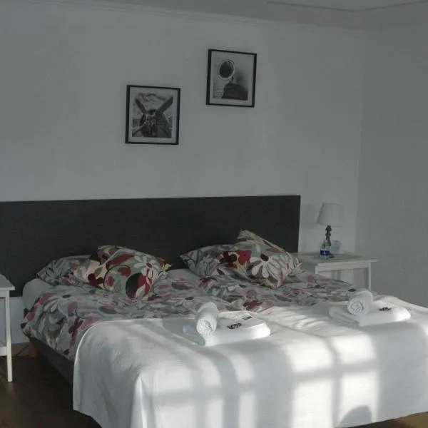 Bed & Breakfast de Vrijheid, hotel v destinaci Ede