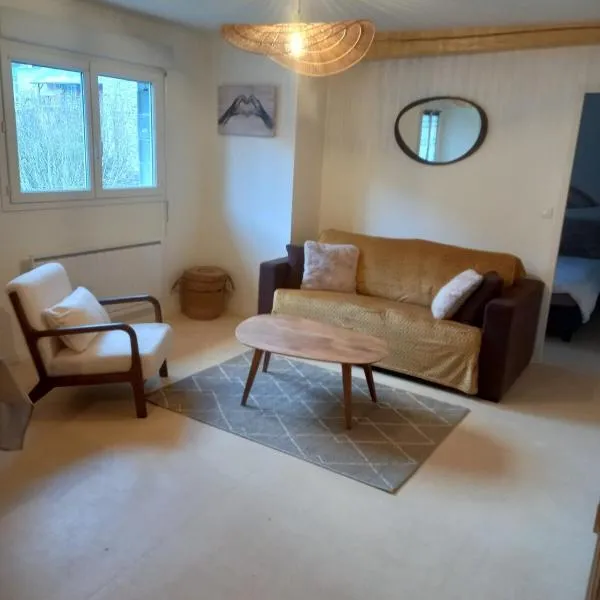 appartement centre ville de Laruns 2 ou 3 personnes, hotel in Laruns