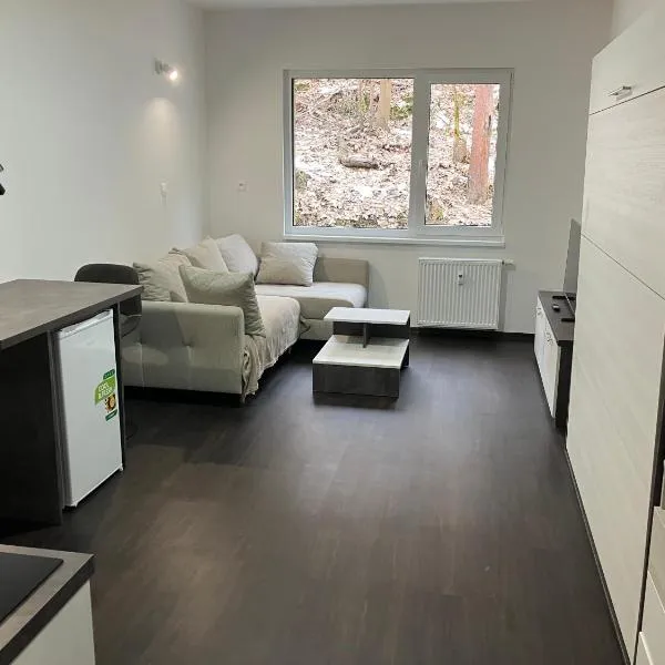 Apartmán Nelinka u Klínovce, hotel v destinaci Ostrov