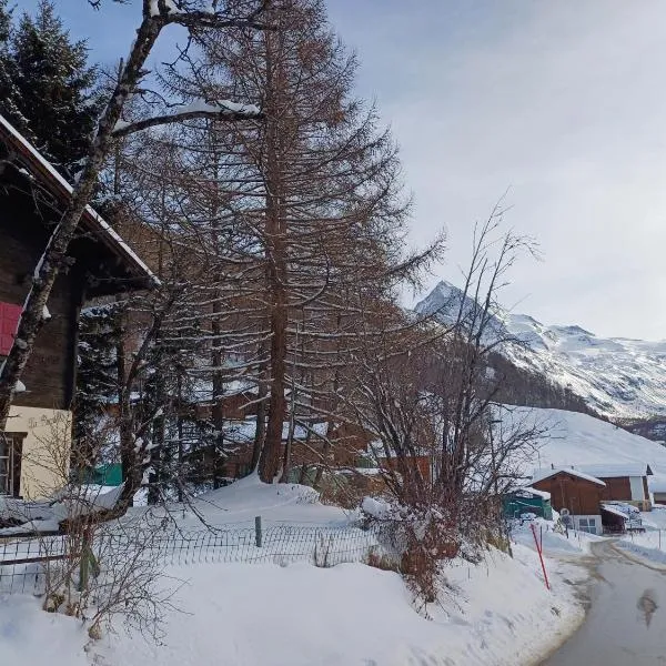 Chalet Alpin vue Dent Blanche, hotel in La Forclaz