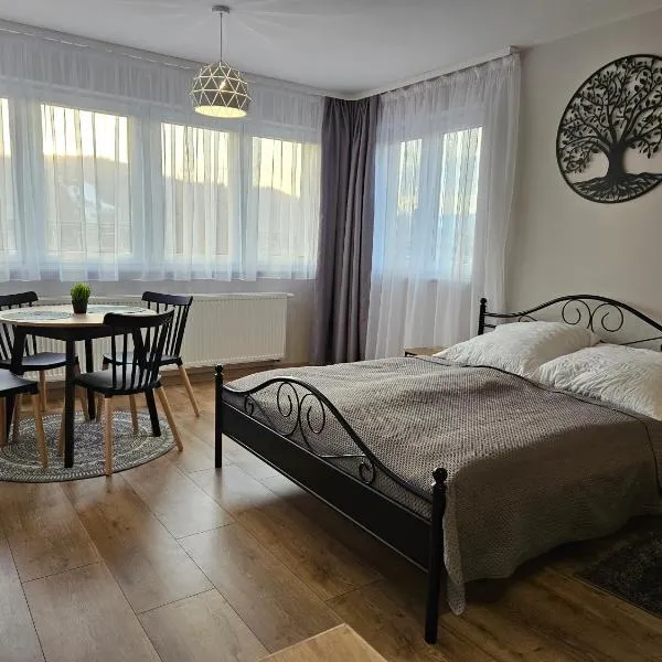 Willa Rodzinna, hotel in Wisła