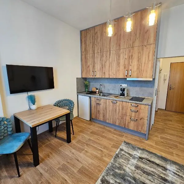 Moderní studio v centru Pardubic - Netflix, Wi-Fi zdarma, hotel in Pardubice