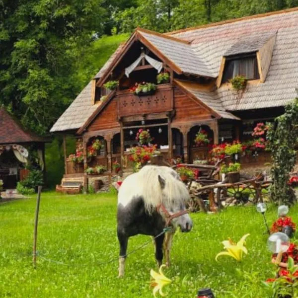 Pensiunea Rustic Oncesti, hotel v destinaci Onceşti