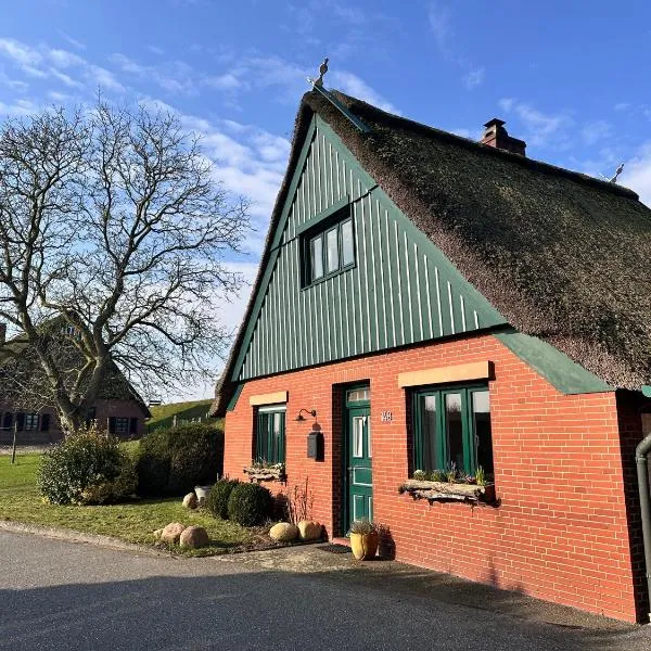 Reetdachkate am Deich, отель в городе Seester