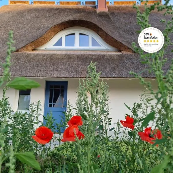 Reetsnacker - Ferienhaus mit Kamin, Sauna und Whirpool für 8 Personen, hotel a Pepelow