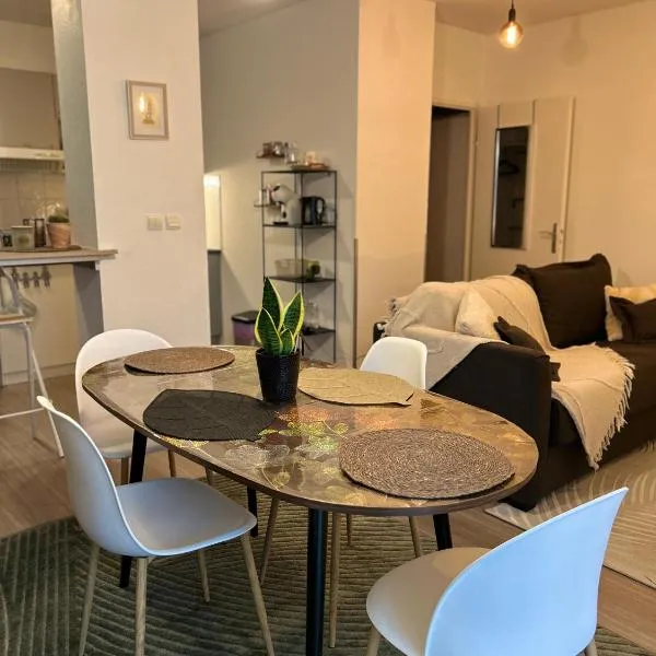 Niort Home，位于尼奥尔的酒店