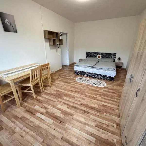 Apartmán pro 4 osoby, Kraslice, hotel v destinaci Sokolov
