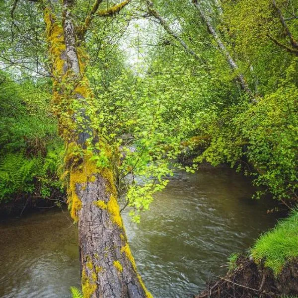 Rainforest Tiny Home Retreat Farmhouse 18，福克斯的飯店