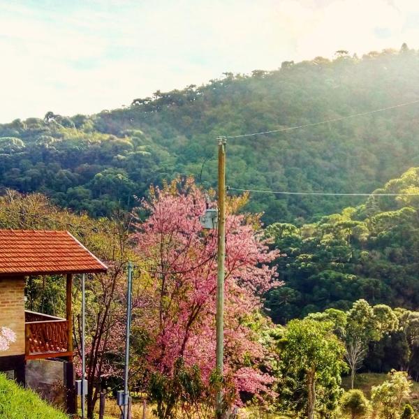 Sonho na Serra Chalé 1 - Foto 5