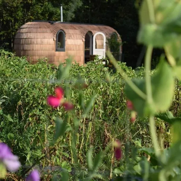 Igloo cabin in Saaremaa, hotel v destinaci Kapra