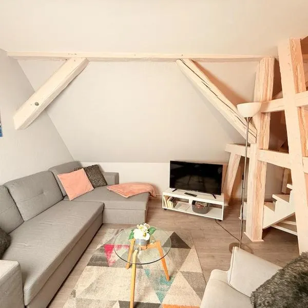 Chic&Cosy - Vue exceptionnelle - Centre Haguenau, hotel v destinaci Haguenau