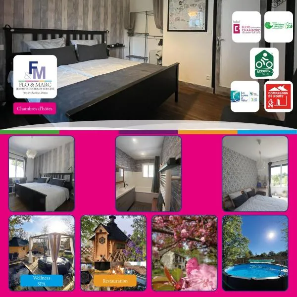 Chez Flo et Marc, hotel in Chouzy-sur-Cisse