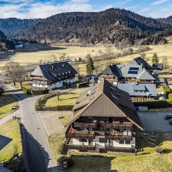 Galeriewohnung in Menzenschwand, Hotel in Menzenschwand-Hinterdorf
