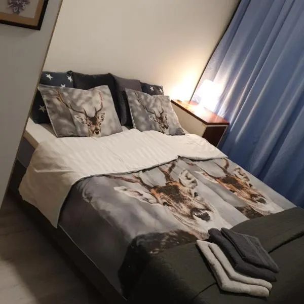 Sweethome, hotel v destinaci Sodankylä