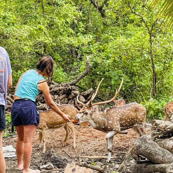 Nehansa Resort and safari, hotel en Tissamaharama