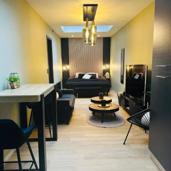 Élégant appartement avec bain balnéothérapie, hotel in Liège