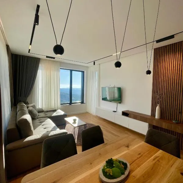 Apartman Foresta Divčibare, hotel in Divčibare